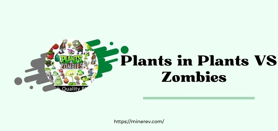 Plants in Plants VS Zombies